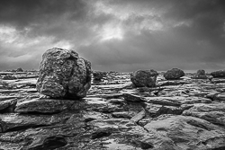 erratic,february,lowlands,monochrome,winter