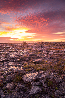 autumn,december,lowland,pink,twilight