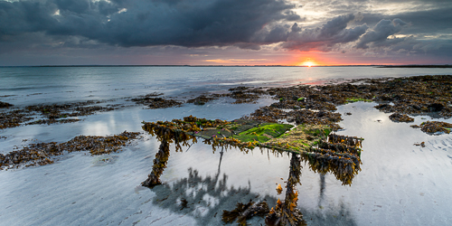 doorus,june,oyster bed,panorama,summer,sunrise,coast