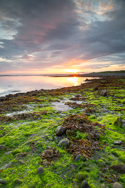 algae,doorus,september,summer,sunrise,coast,green