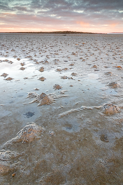 doorus,january,sunrise,winter,wormholes,coast