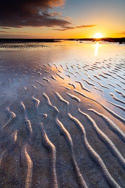 april,doorus,sand ripples,spring,sunrise,sunstar,coast,golden,beach