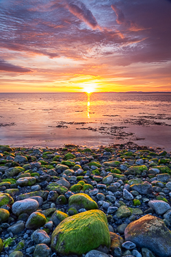 coast,flaggy shore,golden,green algae,may,orange,spring,sunset,sunstar
