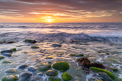 boulders,coast,flaggy shore,golden,green algae,july,pebbles,summer,sunset,portfolio