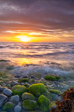boulders,coast,flaggy shore,golden,green algae,july,pebbles,summer,sunset
