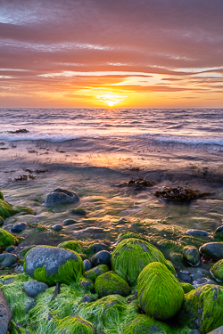 boulders,coast,flaggy shore,golden,green algae,july,pebbles,summer,sunset