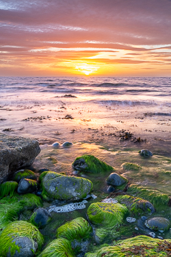 boulders,coast,flaggy shore,golden,green algae,july,pebbles,summer,sunset