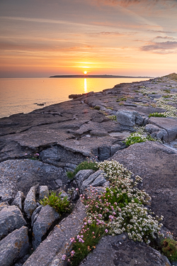 april,flaggy shore,flowers,orange,spring,sunrise,coast,orange