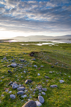 august,ballyvaughan,rine,summer,coast,green,dreamy