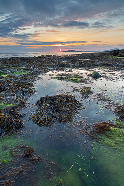 ballyvaughan,green algae,may,rine,spring,sunrise,coast