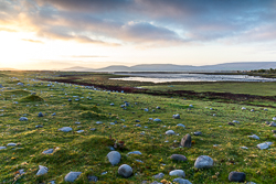 ballyvaughan,may,rine,spring,coast,dreamy,portfolio