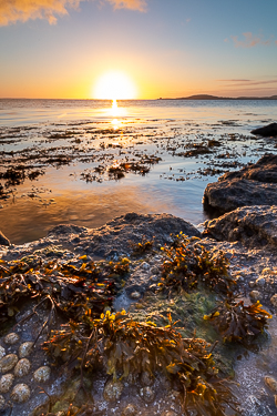ballyvaughan,golden hour,june,rine,spring,sunrise,coast