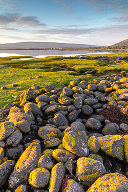 august,ballyvaughan,golden,rine,summer,coast