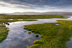 august,ballyvaughan,rine,summer,sunrise,coast