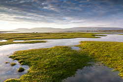 august,ballyvaughan,rine,summer,sunrise,coast,golden hour,dreamy