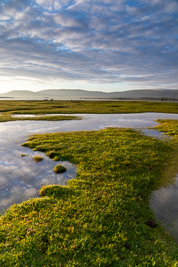 august,ballyvaughan,rine,summer,coast,dreamy,golden hour