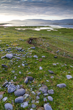 august,ballyvaughan,rine,summer,coast,green,dreamy
