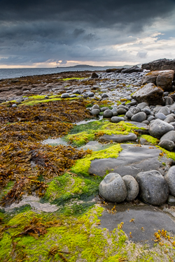 algae,ballyvaughan,boulders,july,rine,summer,coast