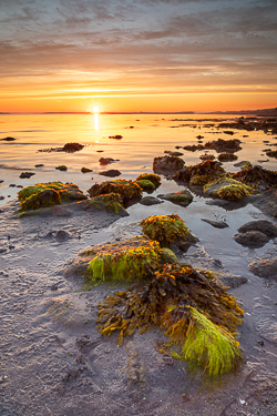 golden hour,kinvara,may,spring,sunrise,traught,coast,golden