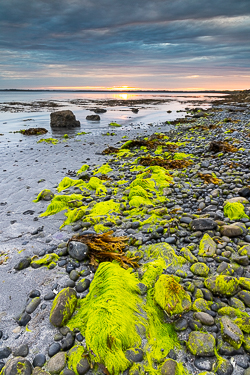 green algae,june,kinvara,spring,sunrise,traught,blue,coast