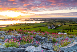 abbey hill,flowers,june,orange,red,spring,twilight,valerian,hills