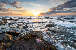 coast,golden,jellyfish,june,spring,sunset,traught