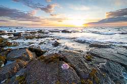 coast,golden,jellyfish,june,spring,sunset,traught