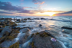 coast,golden,jellyfish,june,spring,sunset,traught,portfolio