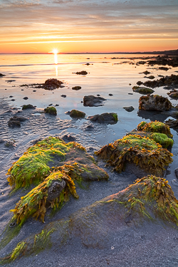 golden hour,kinvara,may,sand ripples,spring,sunrise,traught,beach,coast