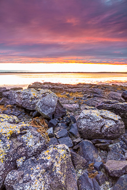 august,pink,summer,sunrise,traught,coast