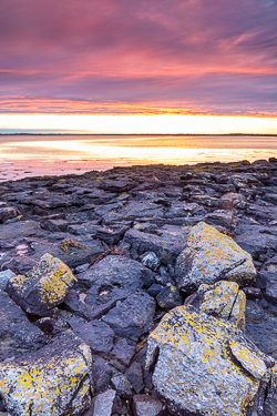 august,pink,summer,sunrise,traught,coast