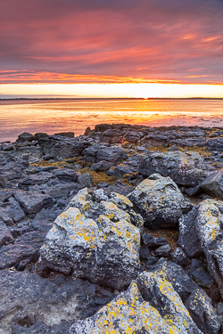 august,pink,summer,sunrise,traught,coast