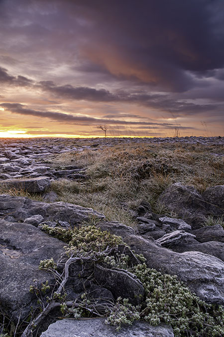 Burren Landscape Photography